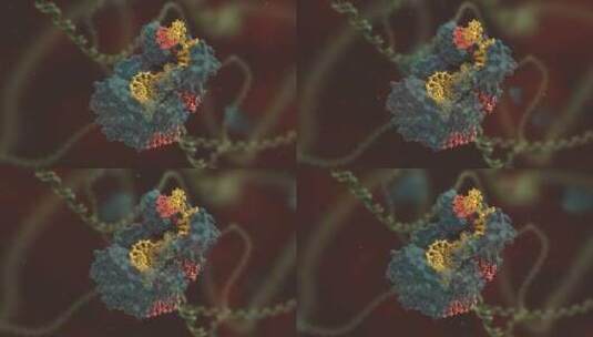 生物科学 基因编辑 DNA 基因工程 医学动画高清在线视频素材下载