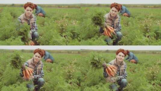 农妇蹲在菜田里拿着一把胡萝卜高清在线视频素材下载
