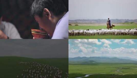 100草原牧场羊群高清在线视频素材下载