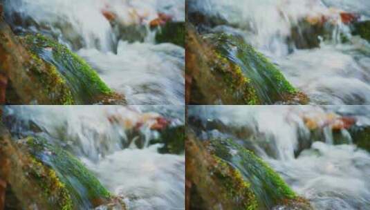 溪水流过长满苔藓的石头高清在线视频素材下载