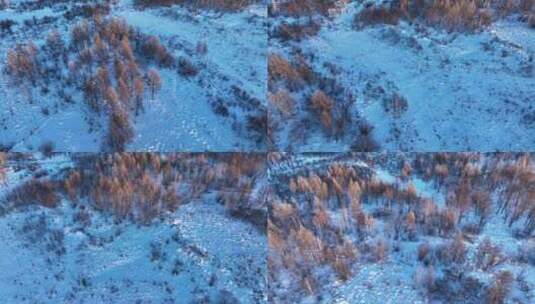 大兴安岭冻土地带冬日森林雪景高清在线视频素材下载