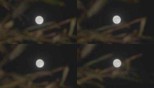 月亮意境 中秋圆月高清在线视频素材下载