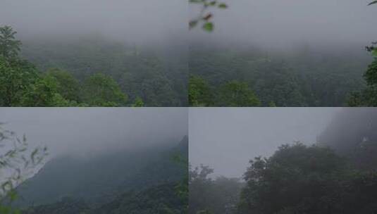 清晨早上大山里云雾缭绕高清在线视频素材下载