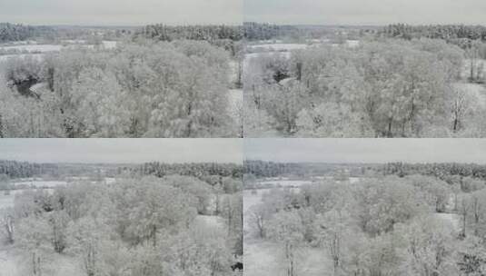 4K雾凇雪景高清在线视频素材下载