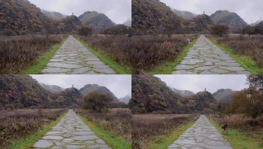 湖北神农架大九湖景区的阴雨秋天高清在线视频素材下载