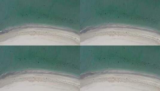 白色沙滩上的水波高清在线视频素材下载