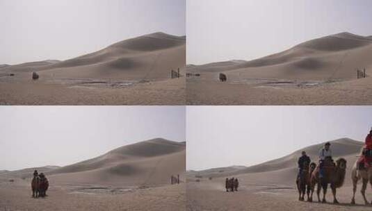 4k拍摄敦煌鸣沙山骆驼高清在线视频素材下载