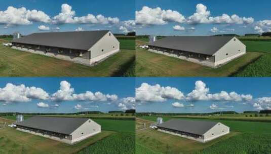 农业产业主题。美国农村猪舍的空中展示。夏季白天场景。高清在线视频素材下载