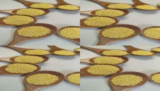 五谷杂粮小米黄金米黄米4K高清在线视频素材下载