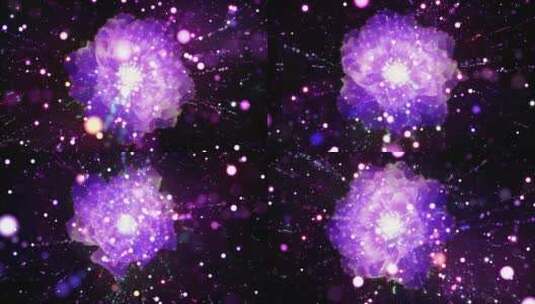 紫色浪漫唯美牡丹荷花粒子背景高清在线视频素材下载