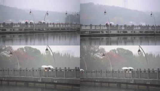 江南烟雨公园湖畔-游湖雨景高清在线视频素材下载