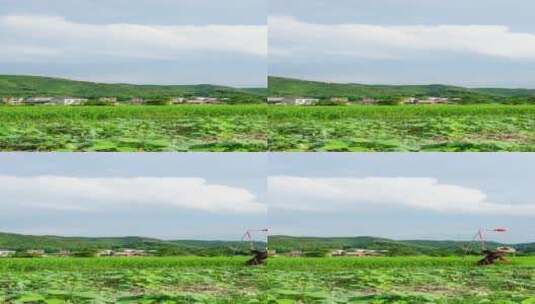 乡村田园自然风光4k高清在线视频素材下载