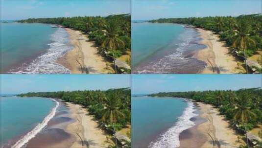 静谧大海海浪椰树万里晴空清澈海洋高清在线视频素材下载