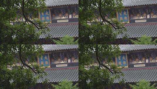 浙江普陀山大乘禅院建筑4K实拍视频高清在线视频素材下载