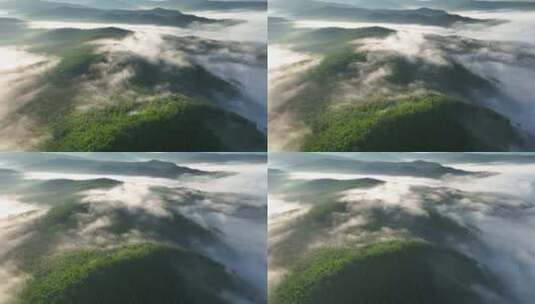 航拍黎明山林阳光云雾缭绕高清在线视频素材下载