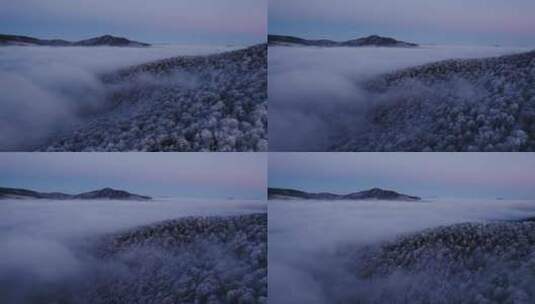 雪景冬季航拍雾凇，大兴安岭高清在线视频素材下载