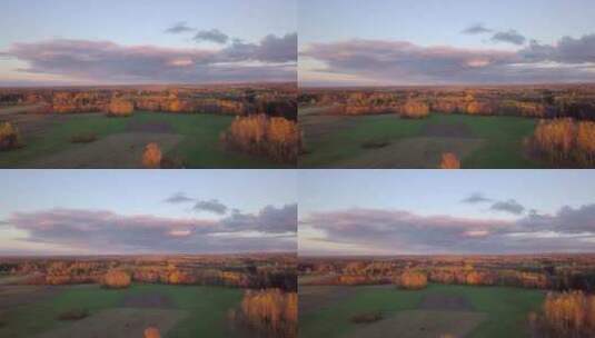 在金色的夕阳下飞向欧洲拉脱维亚乡村草地上的森林高清在线视频素材下载