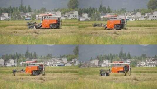 安徽黟县水稻田收割地拍高清在线视频素材下载