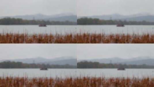 杭州西湖冬季雨天雨滴高清在线视频素材下载