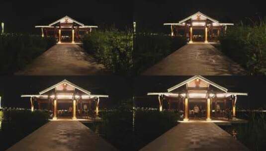 东安湖 公园 夜景 游玩 夏夜高清在线视频素材下载