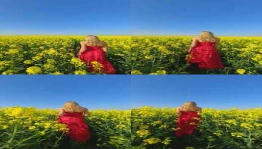 红衣女人与油菜花海高清在线视频素材下载