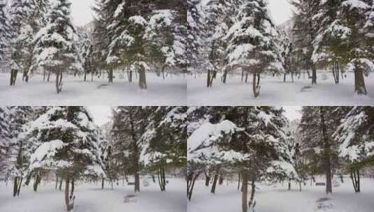 森林中的雪崩高清在线视频素材下载