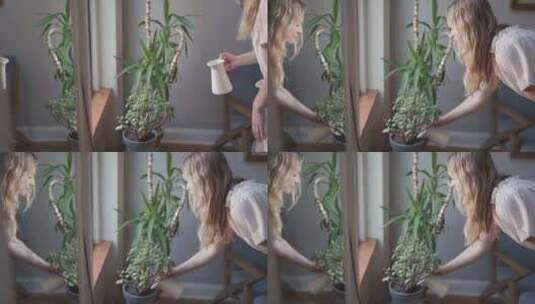 一个给盆栽浇水的女人高清在线视频素材下载