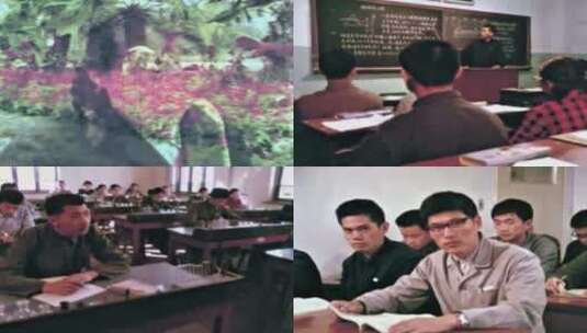 1977年至1979年高校大学生高清在线视频素材下载