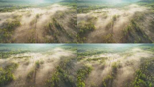 航拍云雾缭绕的森林高清在线视频素材下载