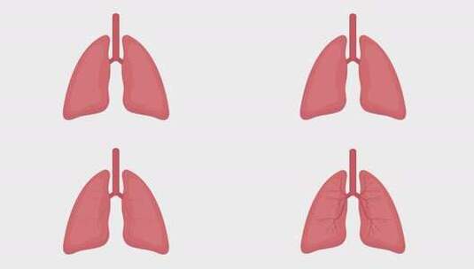 肺人体器官高清在线视频素材下载