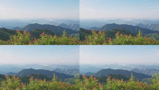 杭州临安大明山牵牛岗群山风景高清在线视频素材下载