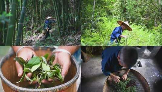 【合集】老手艺人  茶山采茶  手工制茶高清在线视频素材下载