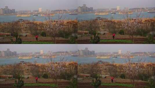 相机高清摄湖北宜昌江南岸菜农种植场景2高清在线视频素材下载