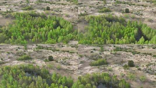 荒野沙地植被景观高清在线视频素材下载