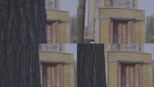 透过树木拍摄的建筑与牌匾高清在线视频素材下载
