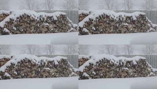 冬季森林雪花冰住木柴高清在线视频素材下载