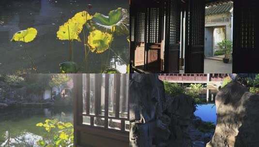 【合集】秋天园林艺圃古建筑阳光绿化宣传高清在线视频素材下载