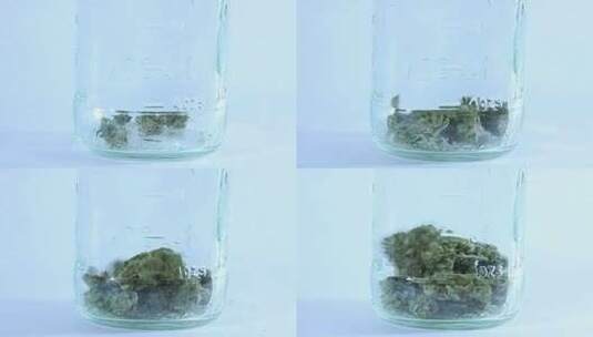 把干大麻芽扔进玻璃罐里高清在线视频素材下载