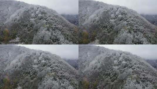 航拍重庆大巴山冬季雪山冰雪风光雪景高清在线视频素材下载