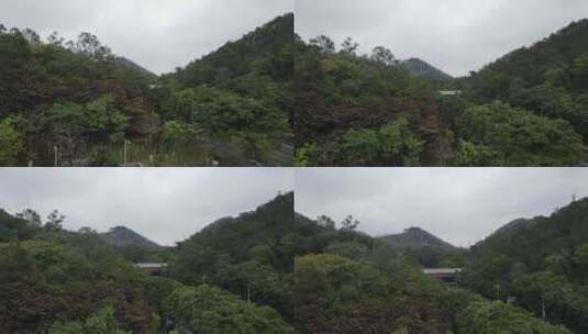 雨后的山林高清在线视频素材下载