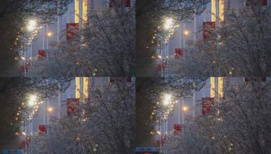 威海世昌大道的樱花夜景高清在线视频素材下载