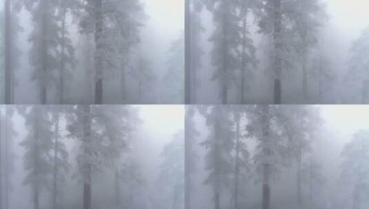 航拍山林雪景高清在线视频素材下载