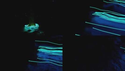 蓝色粒子树发光线条树木生长动画发布会展厅高清在线视频素材下载