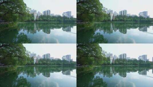 武汉汉口小南湖公园风景高清在线视频素材下载