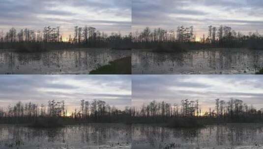湿地公园日落景观高清在线视频素材下载