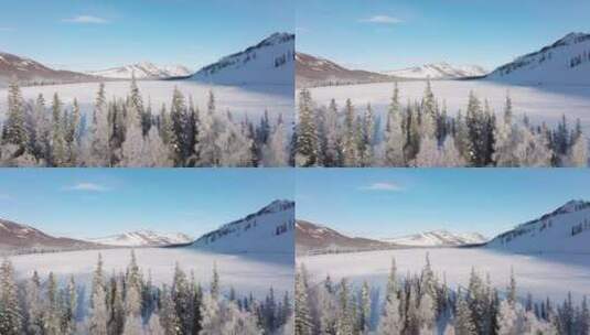 新疆旅游地-喀纳斯、禾木（冬季雪景晨雾）高清在线视频素材下载