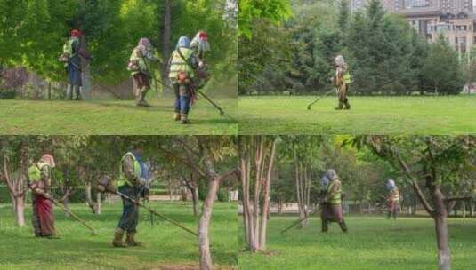 园林工人修剪树木草坪高清在线视频素材下载