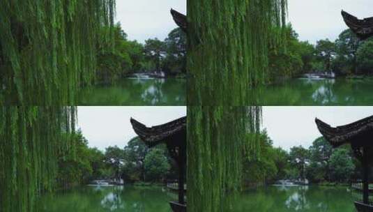 夏日傍晚池塘里的喷泉美景高清在线视频素材下载