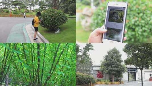 植物二维码高清在线视频素材下载
