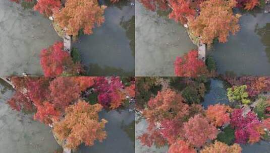 秋天的风景高清在线视频素材下载